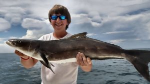 Cobia Fishing in North Carolina