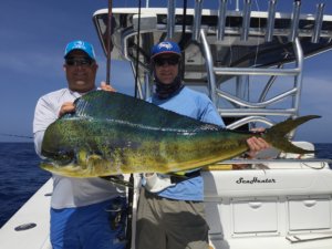 North Carolina Mahi Fishing