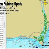 Cape Fear River Fishing Spots